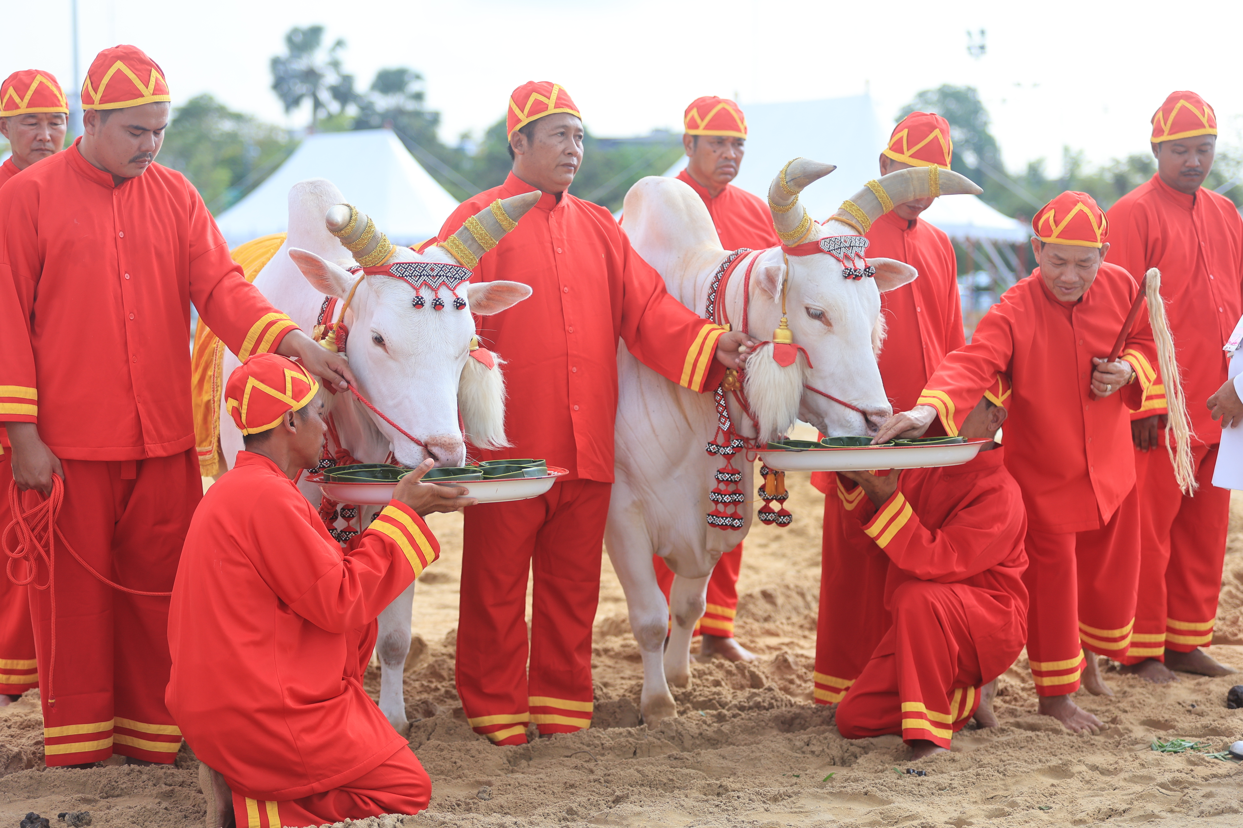 title - ส.ป.ก. ร่วมซ้อมใหญ่ ครั้งที่ 2 พระราชพิธีพืชมงคลจรดพระนังคัลแรกนาขวัญ ประจำปีพุทธศักราช 2569